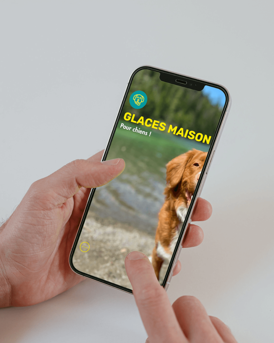 Feed instagram Valais